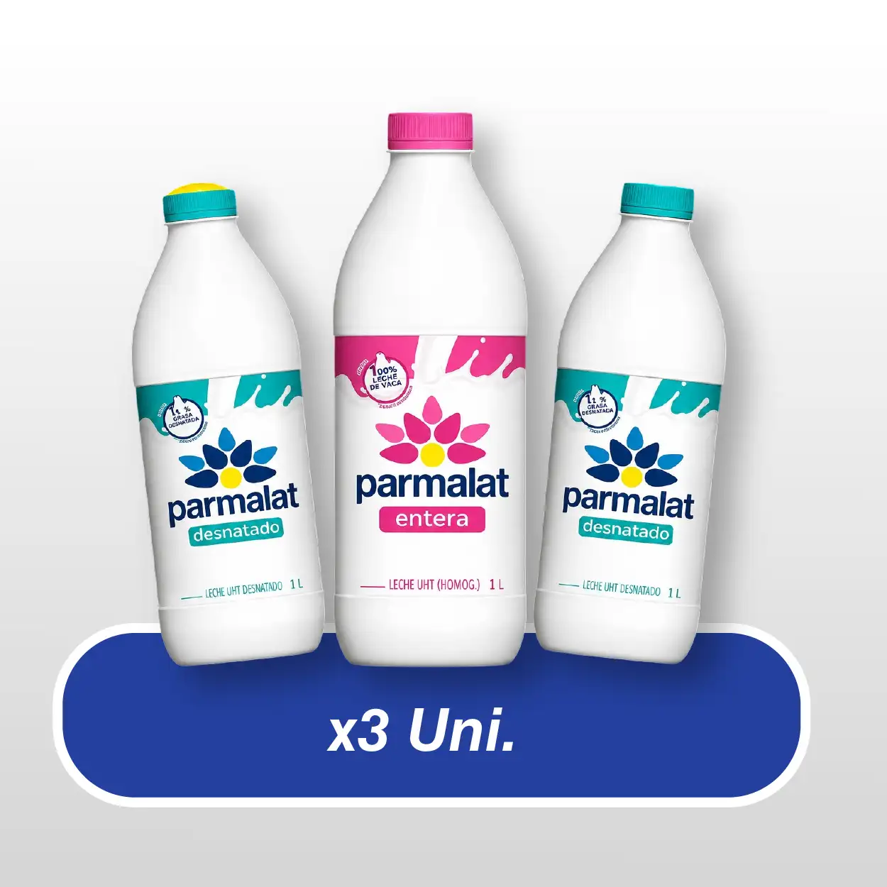 oferta web-3h-04