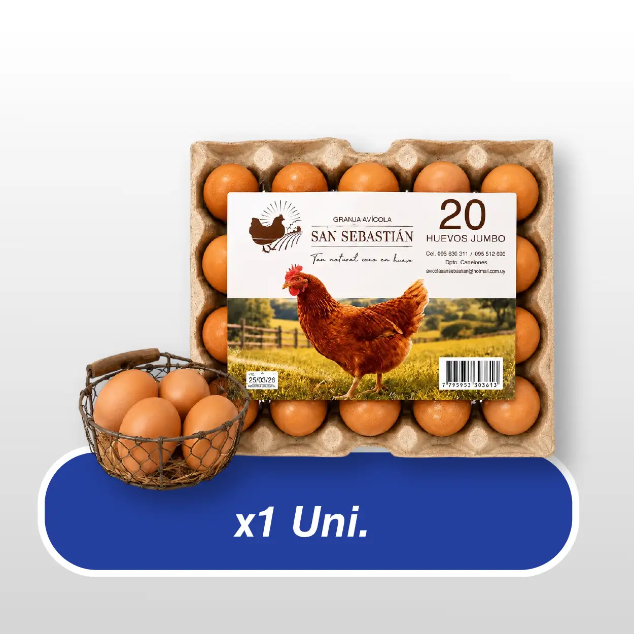 Huevos Jumbo SAN SEBASTIAN -Maple x20-